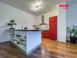 Pronájem bytu 2+kk, Ostrava - Moravská Ostrava, Blahoslavova, 112 m2