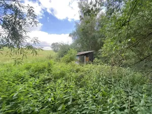 Prodej louky, Nové Hrady - Štiptoň, 4246 m2