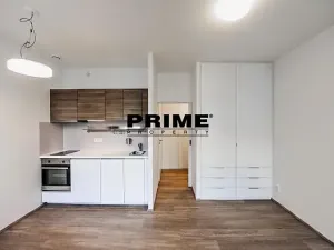 Pronájem bytu 1+kk, Praha - Žižkov, Lucemburská, 30 m2