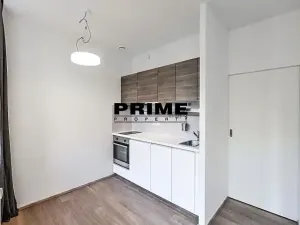 Pronájem bytu 1+kk, Praha - Žižkov, Lucemburská, 30 m2