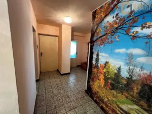 Prodej zemědělské usedlosti, Kunvald, 160 m2