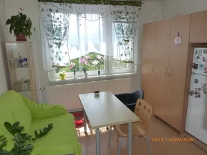 Prodej bytu 1+1, Chomutov, Kamenná, 37 m2