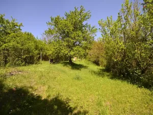 Prodej zahrady, Hostěrádky-Rešov, 705 m2