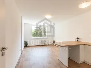 Pronájem bytu 1+kk, Hradec Králové, Selicharova, 30 m2