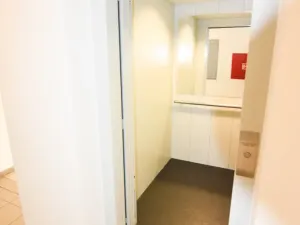 Pronájem bytu 3+kk, Brandýs nad Labem-Stará Boleslav - Brandýs nad Labem, Za Dvorem, 73 m2