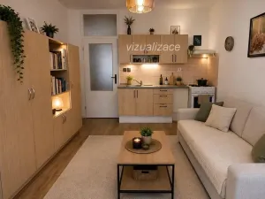 Prodej bytu 1+kk, Chodov, U Porcelánky, 24 m2
