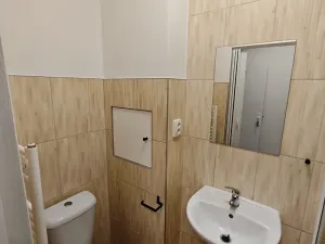 Pronájem bytu 1+kk, Praha - Hlubočepy, Na Zlíchově, 18 m2
