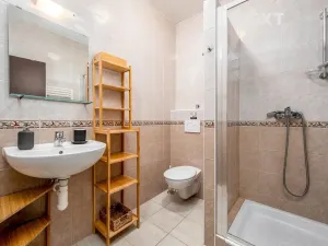 Prodej bytu 1+kk, Rokytnice nad Jizerou, 20 m2