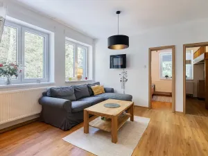 Prodej bytu 3+kk, Harrachov, 50 m2