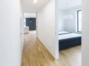Pronájem bytu 2+kk, Praha - Karlín, Pernerova, 60 m2