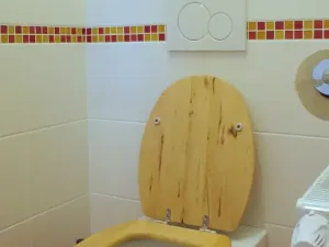 Pronájem bytu 2+1, Brno, Sokolská, 81 m2