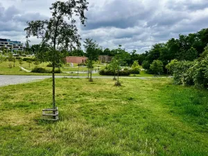 Pronájem bytu 2+kk, Praha - Střešovice, Za Hládkovem, 40 m2