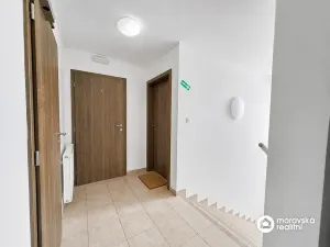 Prodej ubytování, Jevišovka, 241 m2