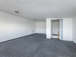 Prodej vícegeneračního domu, Mladá Boleslav, Viničná, 266 m2