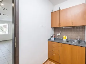 Prodej vícegeneračního domu, Mladá Boleslav, Viničná, 266 m2