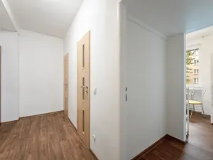 Pronájem bytu 1+1, Brno, Marie Majerové, 45 m2