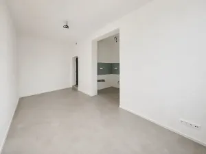 Prodej ubytování, Brno, Cejl, 60 m2