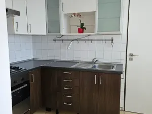 Pronájem vícegeneračního domu, Velká Polom, 100 m2