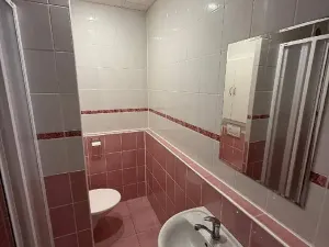 Prodej bytu 2+1, Orlová, F. S. Tůmy, 43 m2