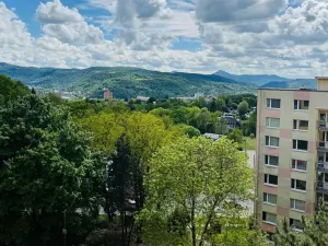 Pronájem bytu 3+1, Ústí nad Labem, Pincova, 83 m2