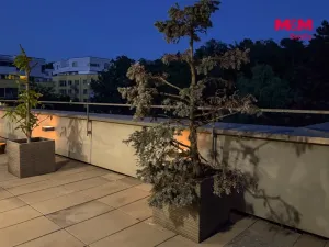 Prodej bytu 5+kk, Praha, Jeseniova, 189 m2