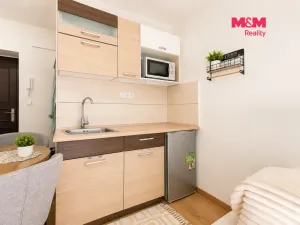 Prodej bytu 1+kk, Líšnice, Spálený Mlýn, 18 m2
