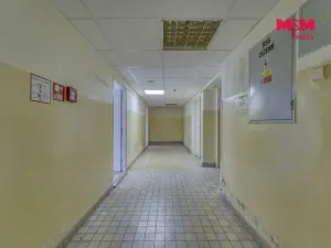 Pronájem obchodního prostoru, Plzeň - Východní Předměstí, Americká, 1603 m2
