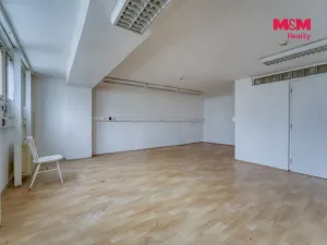 Pronájem obchodního prostoru, Plzeň - Východní Předměstí, Americká, 1603 m2