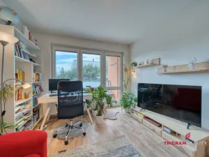 Prodej bytu 3+1, Hradec Králové - Nový Hradec Králové, K Hvězdárně, 77 m2