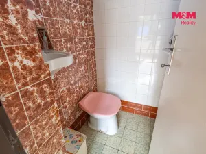 Prodej rodinného domu, Třebechovice pod Orebem, Týnišťská, 180 m2