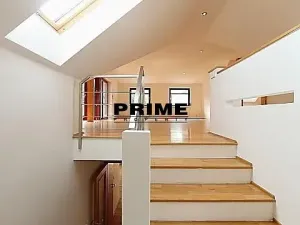 Pronájem rodinného domu, Praha - Veleslavín, Nad hradním potokem, 350 m2