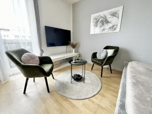Prodej bytu 1+kk, České Budějovice - České Budějovice 2, Spojovací, 35 m2