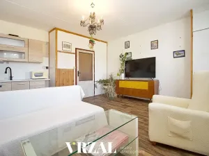 Pronájem bytu 1+kk, Plzeň, Ledecká, 39 m2