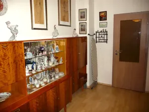 Prodej bytu 1+1, Praha - Nusle, 5. května, 44 m2