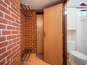 Pronájem bytu 2+1, Brno, Karolíny Světlé, 49 m2