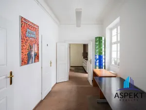 Pronájem kanceláře, Praha - Malá Strana, Sněmovní, 255 m2