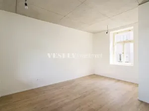 Prodej bytu 2+kk, Praha - Nusle, Boleslavova, 58 m2