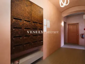 Prodej bytu 2+kk, Praha - Nusle, Boleslavova, 58 m2