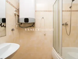 Prodej bytu 2+kk, Benešov, Rubešova, 45 m2