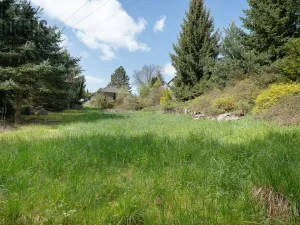 Prodej pozemku, Pyšely, 1325 m2