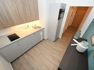 Pronájem bytu 1+1, Praha - Vršovice, Moskevská, 36 m2