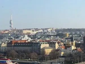 Pronájem bytu 1+kk, Praha - Holešovice, Vinařská, 19 m2
