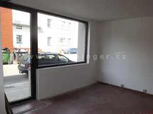 Prodej rodinného domu, Ostrava - Vítkovice, Mírová, 1391 m2