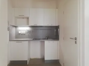 Pronájem bytu 2+1, Praha - Bubeneč, U zeměpisného ústavu, 45 m2