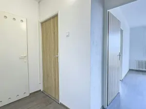 Prodej bytu 1+1, Teplice, Jana Koziny, 41 m2