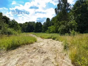 Prodej pozemku pro bydlení, Velemín, 5381 m2