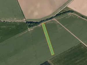 Prodej pole, Dřevohostice, 5998 m2
