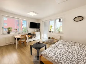 Pronájem bytu 1+kk, Slavkov u Brna, 31 m2