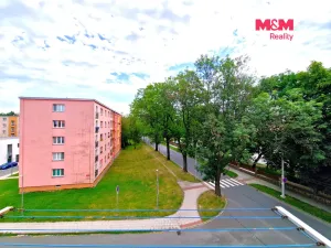 Prodej bytu 3+1, Opava - Předměstí, Purkyňova, 55 m2