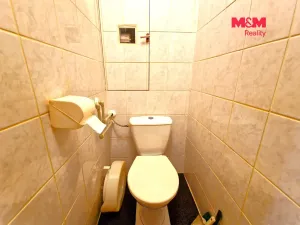 Prodej bytu 3+1, Opava - Předměstí, Purkyňova, 55 m2